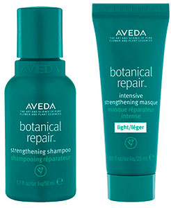 AVEDA Botanical Repair Strengthening Shampoo and Masque