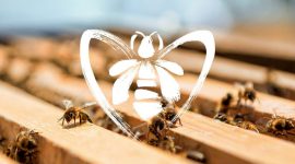 Guerlain: поможем пчелам вместе