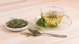 Хвощ полевой: ценные свойства растения + рецепты для красоты и здоровья