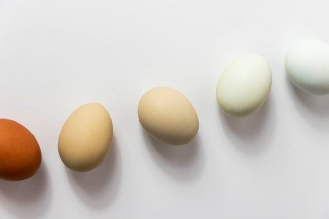 Способы приготовления яиц — cамые здоровые и не очень