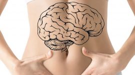 Мозг и кишечник: двусторонняя связь