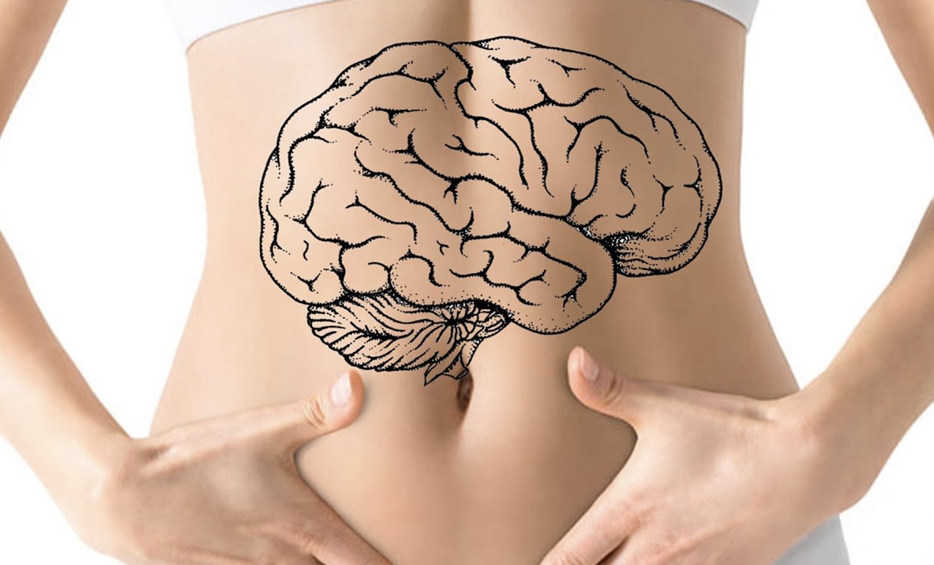 Мозг и кишечник: двусторонняя связь