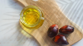 Растительные жиры и масла: пальмовое масло и его разновидности